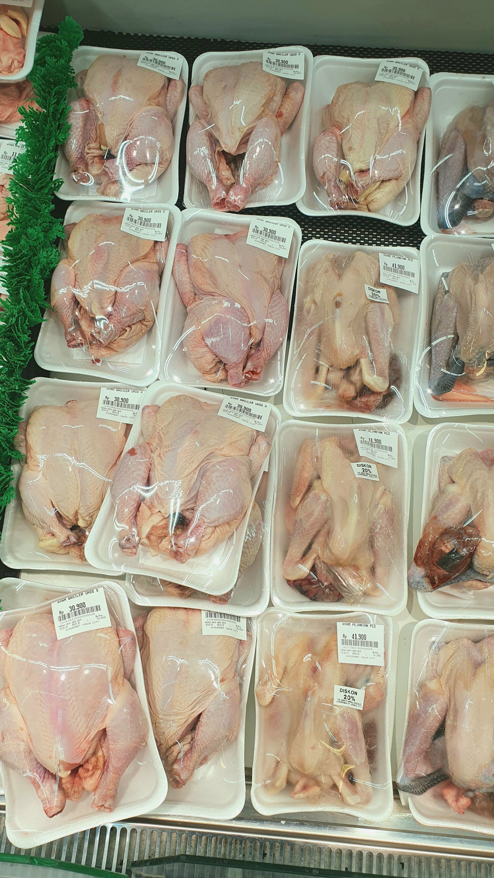 Chicken