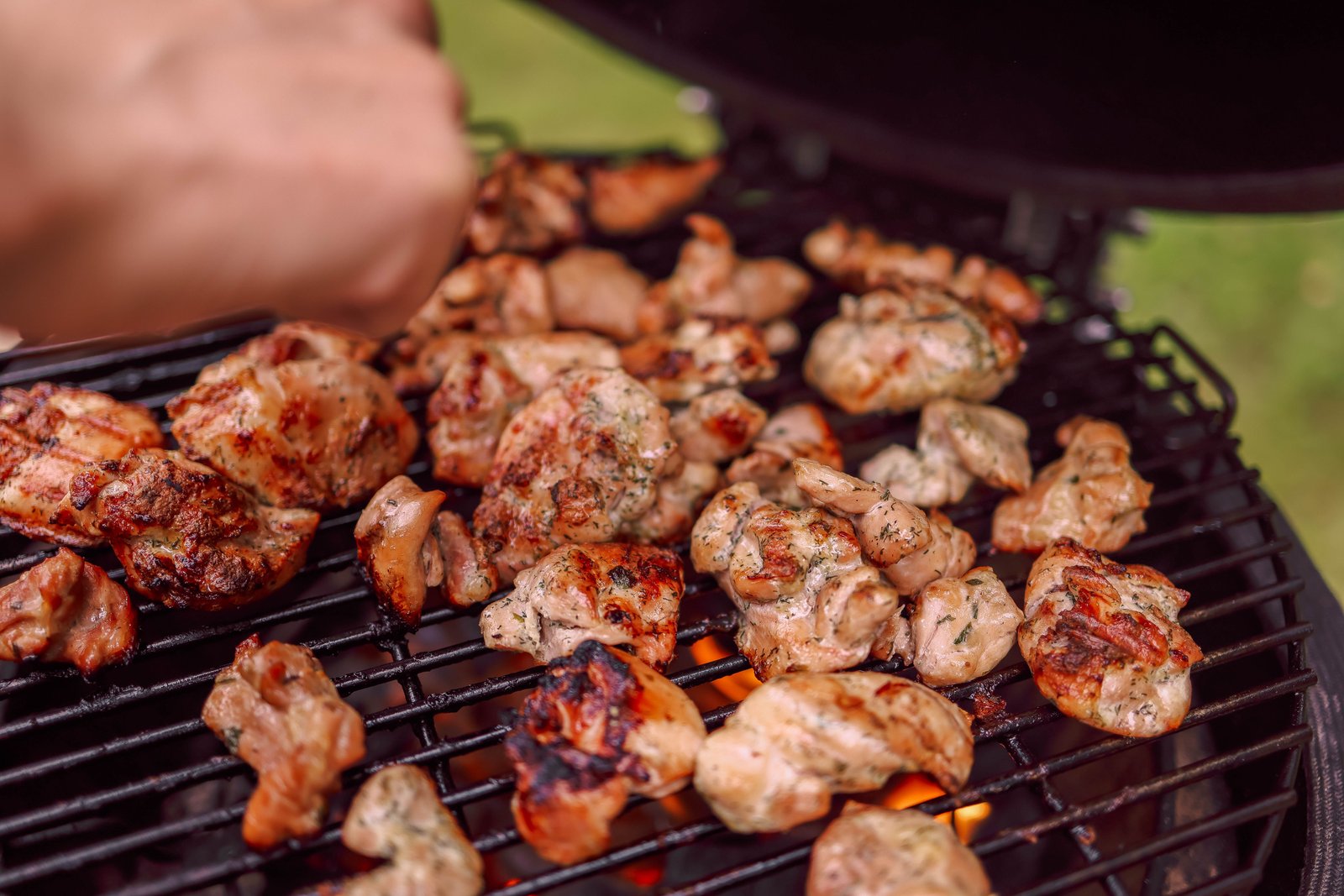 Grilling & Roasting